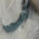 Illustration for article titled Anyone Else Have Some Moldy-Ass Chobani in Their Fridge?